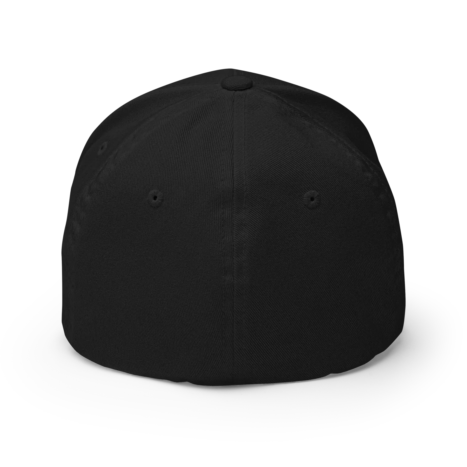 A black structured baseball cap shown from the back, featuring a curved brim, six-panel construction, and ventilation eyelets, photographed on a clean white background.