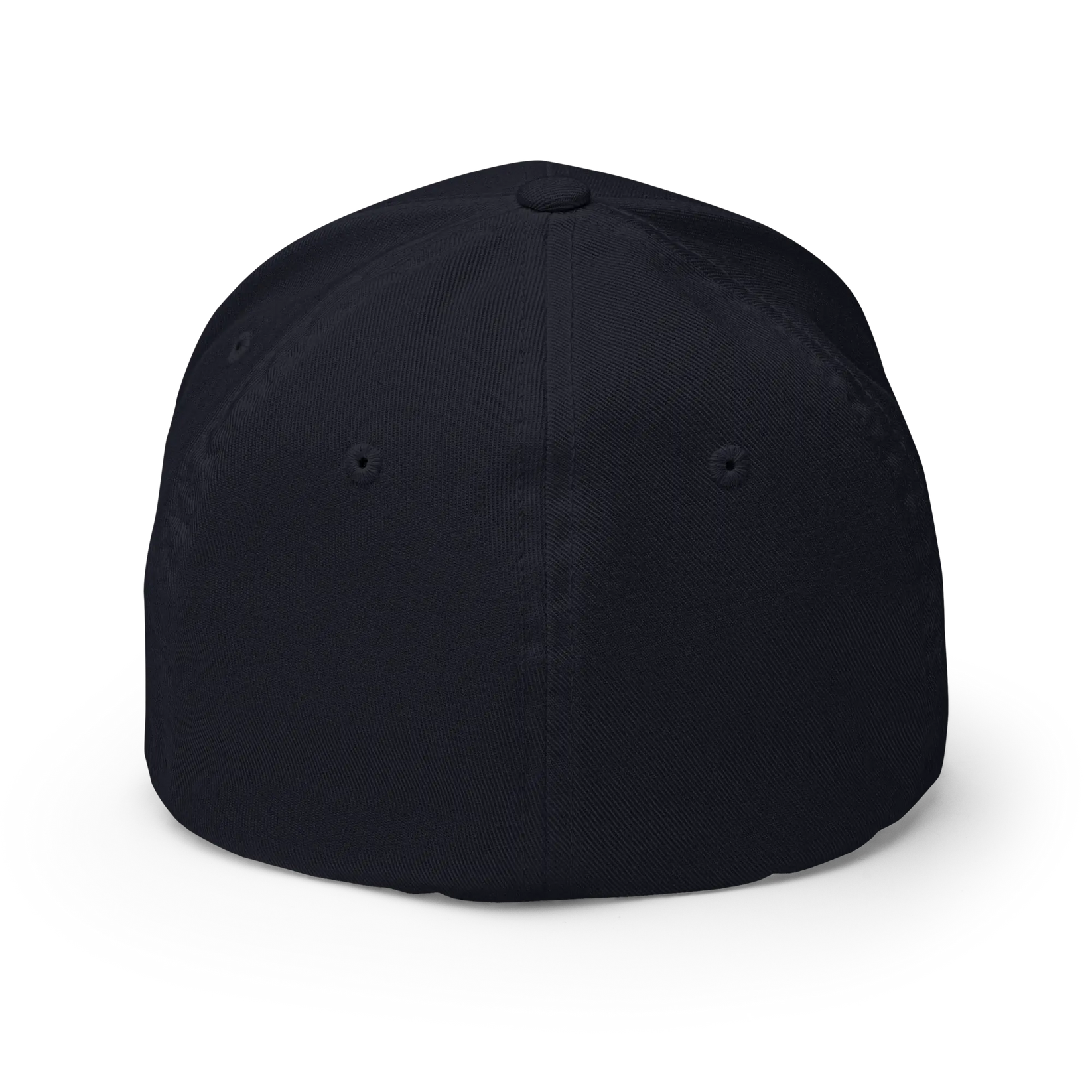 A plain black baseball cap shown from the back on a clean white background.