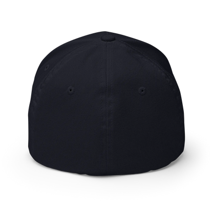 A plain black baseball cap shown from the back on a clean white background.
