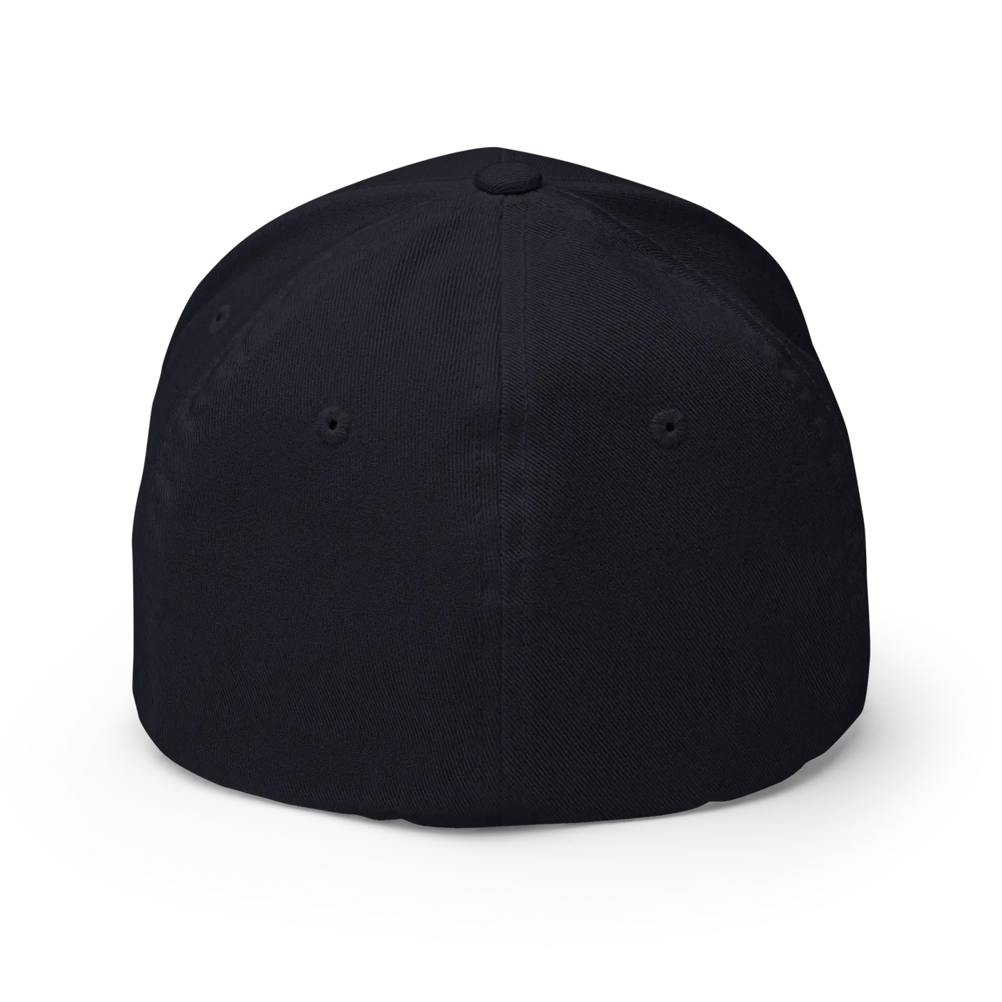A plain black baseball cap shown from the back, photographed on a clean white background with a soft shadow.
